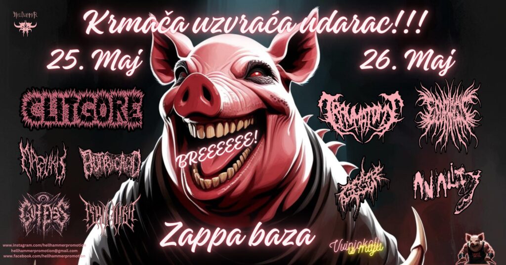 Krmača uzvraća udarac!!!